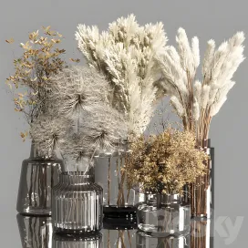 Collection dry plants bouquet indoor